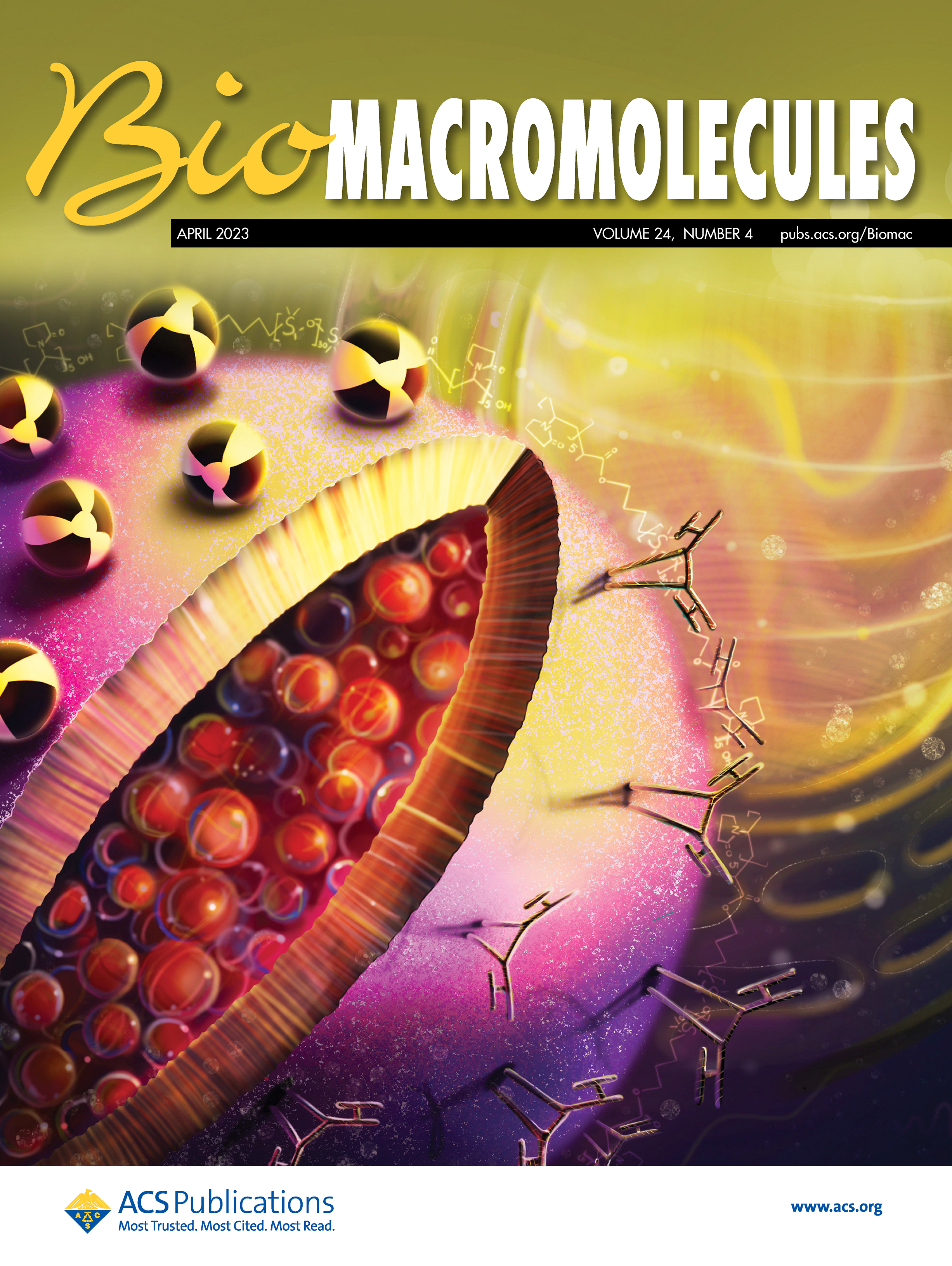 Biomacromolecules 2023