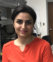 Motahareh2