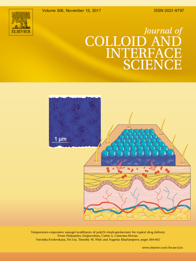 JCIS2017_FrontCover