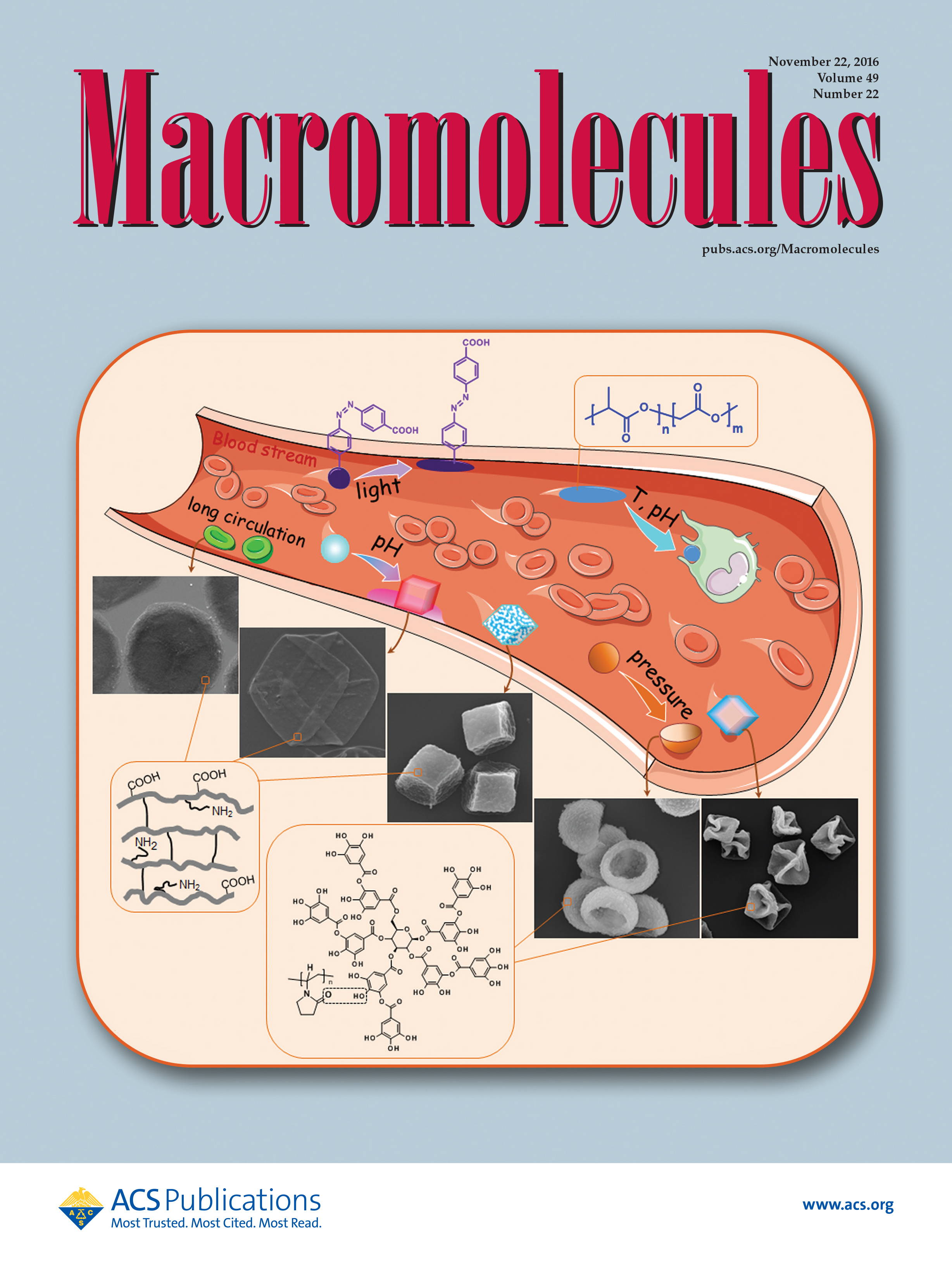 Macromol2016