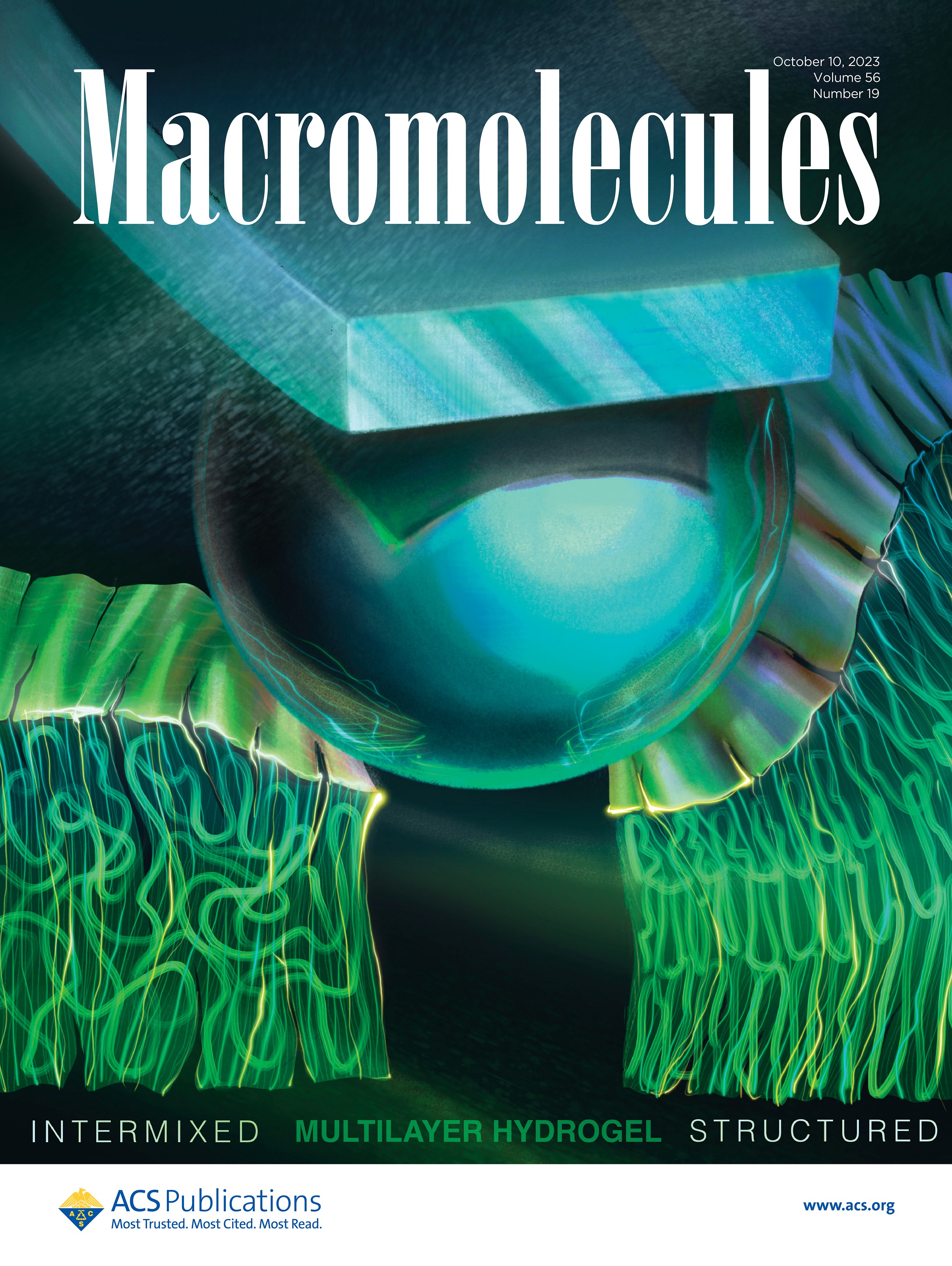 Macromolecules2023