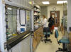 wetlab2